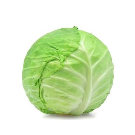بند گوبھی