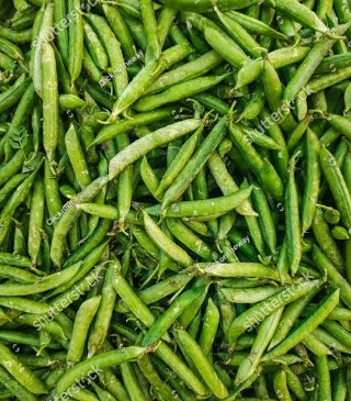 مٹر