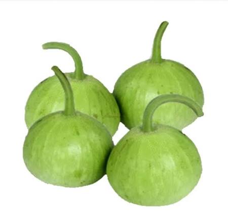 کدو