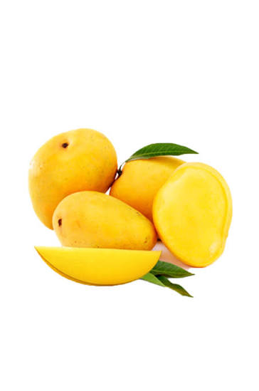 White Chounsa