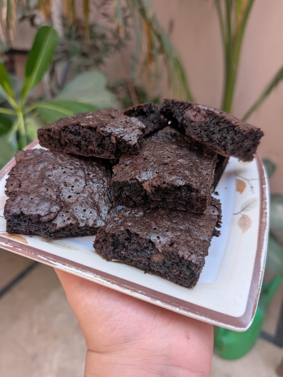 Fudge Brownie