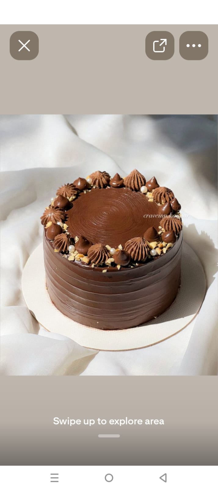 Chocolate Mousse Cake