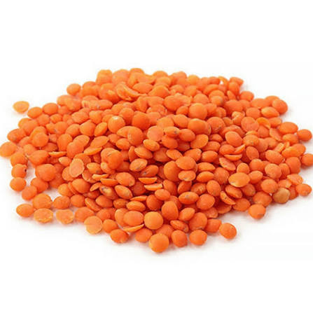 Daal Masoor