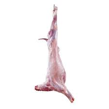 Mutton