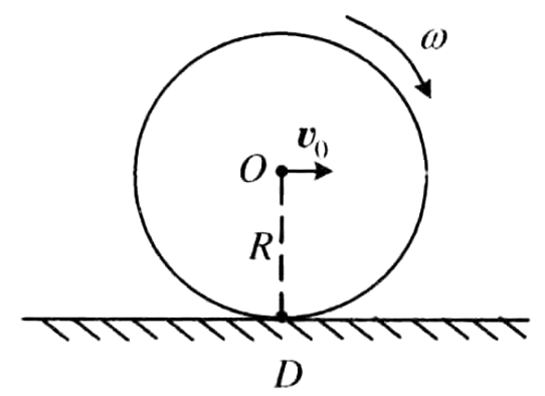 01K4JGKNK8P0HJK6GXXJW4YBX3