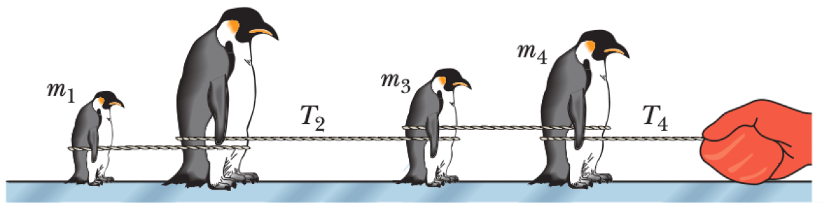 01K62APFJXSQB00AM05H00X1DN