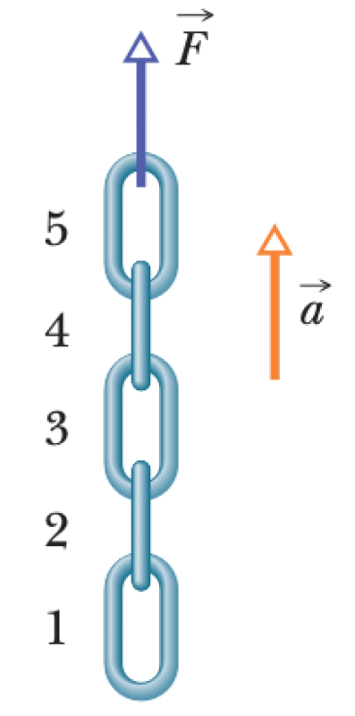 01K62AYYFMBVSBMPW25CES2RF8