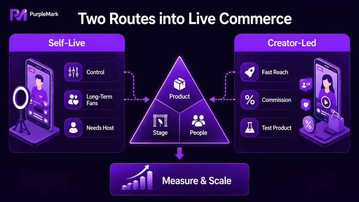 The two overseas live-commerce routes of merchant self-streaming and creator selling, and the product, venue, and people elements