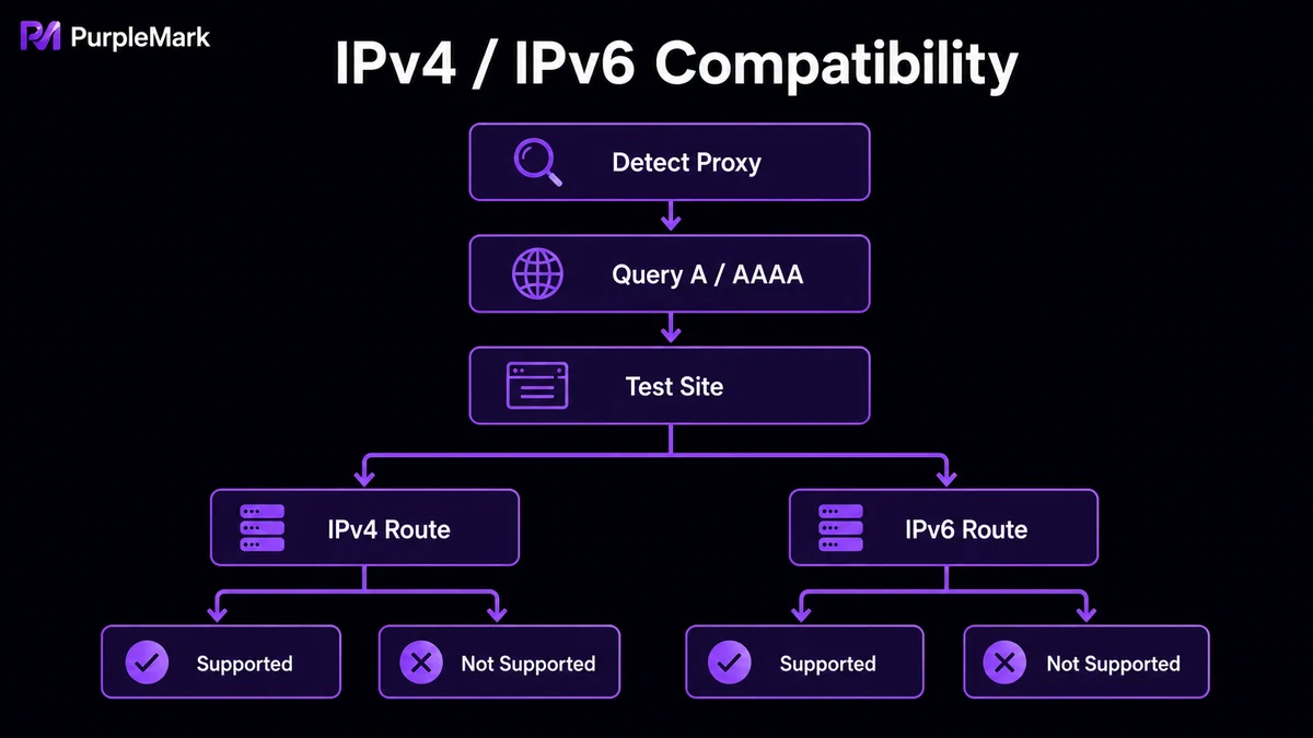 Decision tree for checking IPv4 and IPv6 proxy compatibility