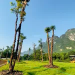 SIÊU PHẨM LẠC THỦY - GIÁP NINH BÌNH - CÁCH HÀ NỘI 65KM - Ảnh thu nhỏ 8