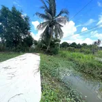 Bán 267m² đất lúa chuyển thổ cư gần chợ Cầu vuông - Ảnh thu nhỏ 1
