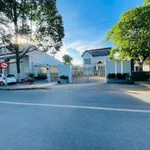 Bán nhà cấp 4 mặt tiền Nguyễn Thành Đồng 229m2, 9 tỷ - Ảnh thu nhỏ 3