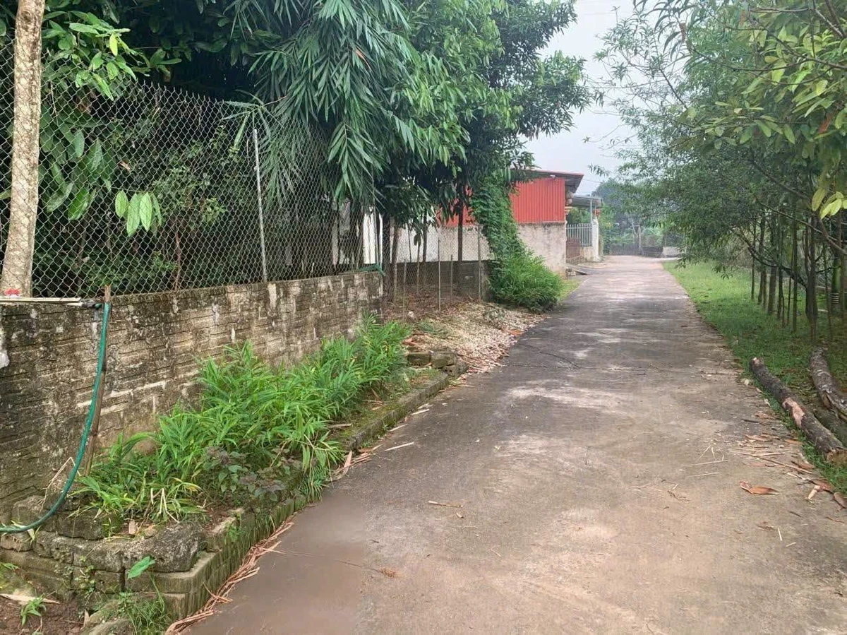 Bán đất Nguyễn Tất Thành 10x27m, 1 tỷ 180 - Ảnh 1