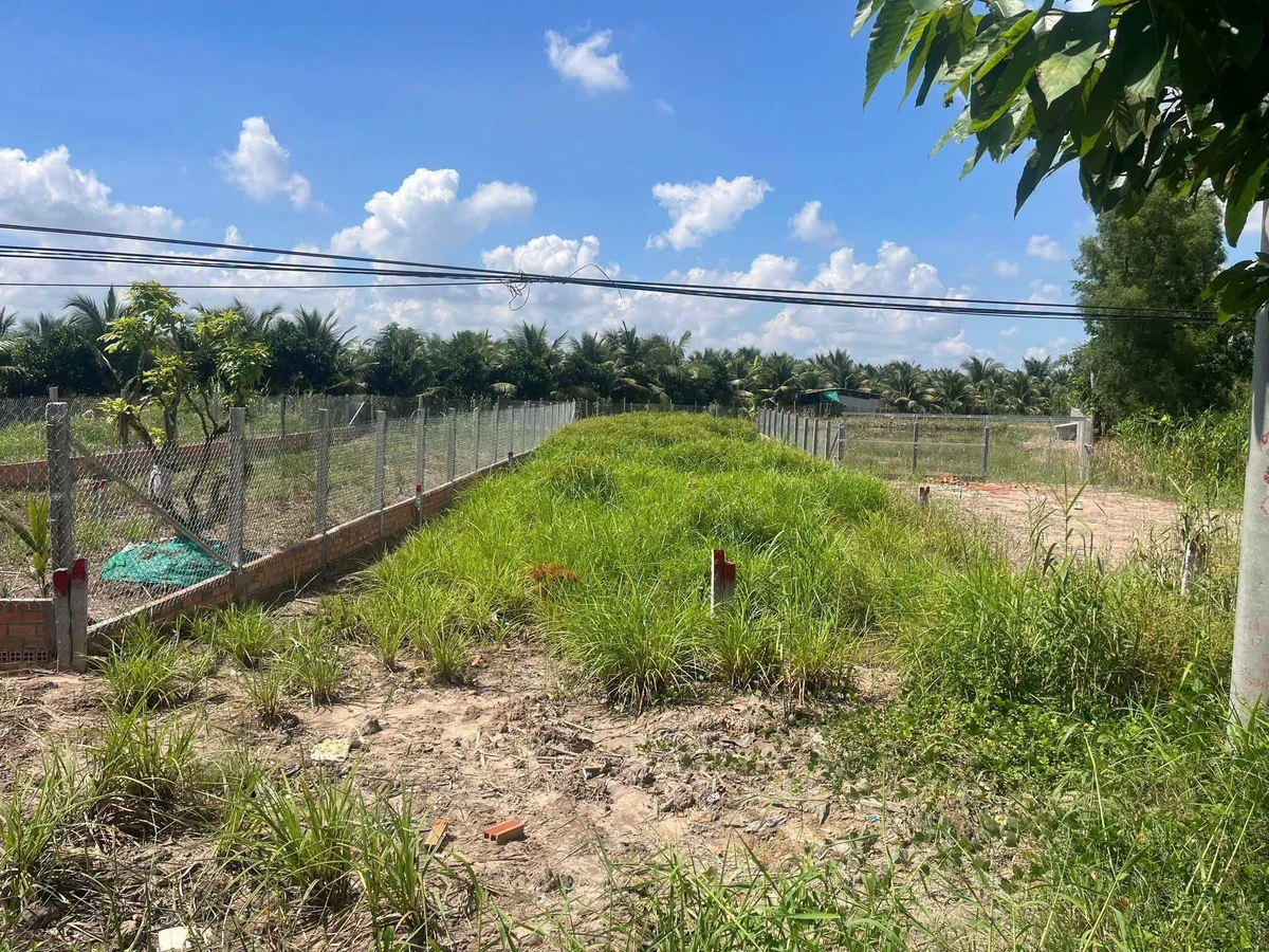 Bán đất thổ cư 485 m² mặt tiền đường tỉnh lộ Mỹ Thuận, Vĩnh Long - Ảnh thu nhỏ 2