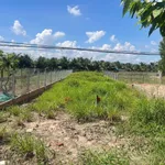 Bán đất thổ cư 485 m² mặt tiền đường tỉnh lộ Mỹ Thuận, Vĩnh Long - Ảnh thu nhỏ 2