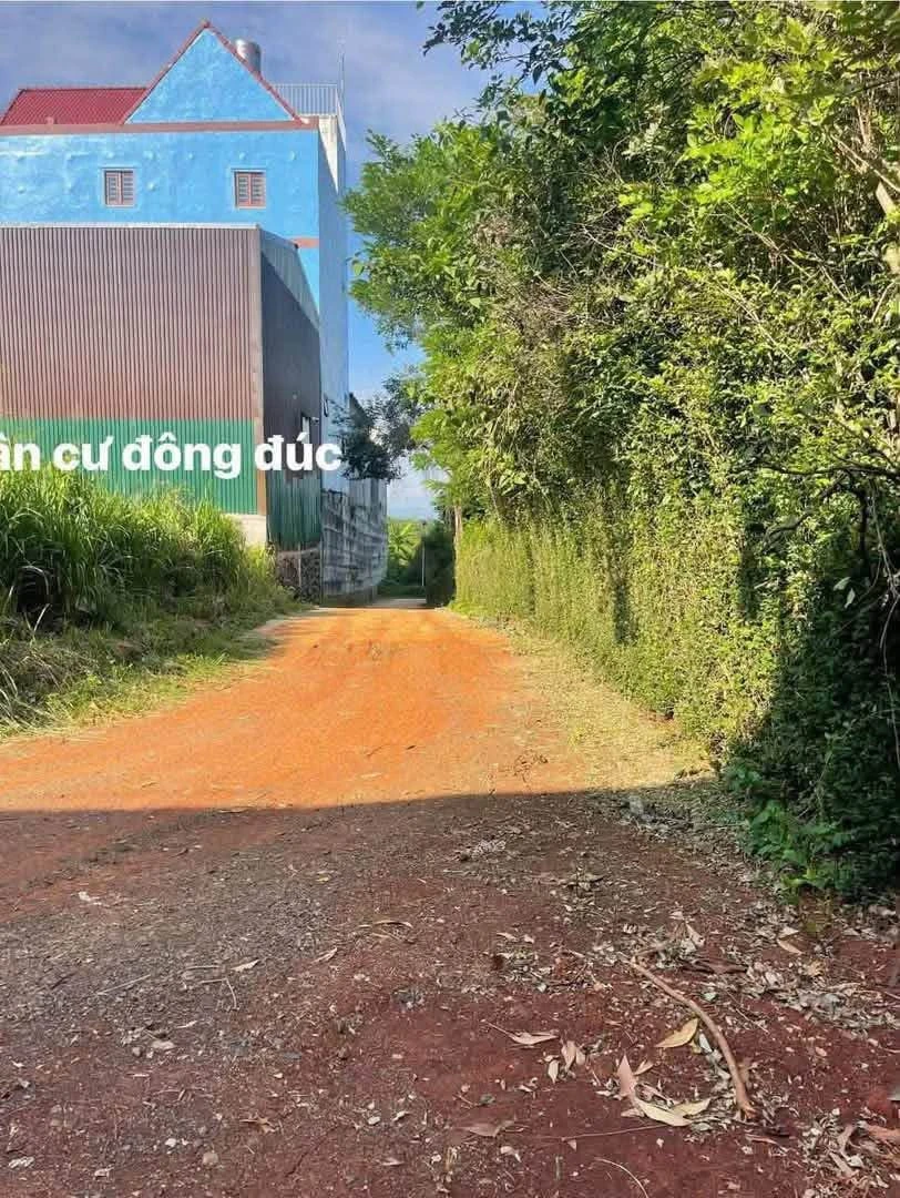 Bán lô đất 500m² Bình Chánh, giá 2 tỷ - Ảnh thu nhỏ 2