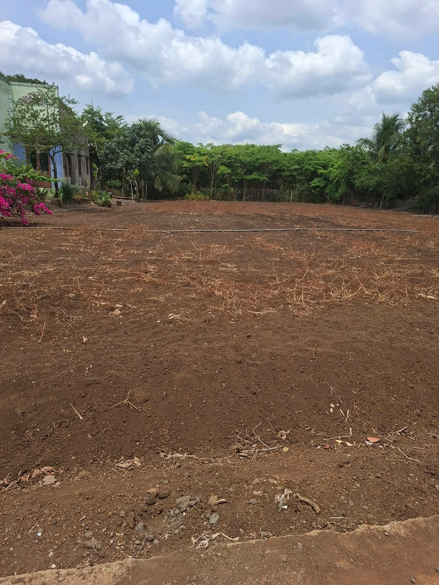 Bán đất thổ cư 932 m² Xuân Đông, Đồng Nai - Ảnh thu nhỏ 3