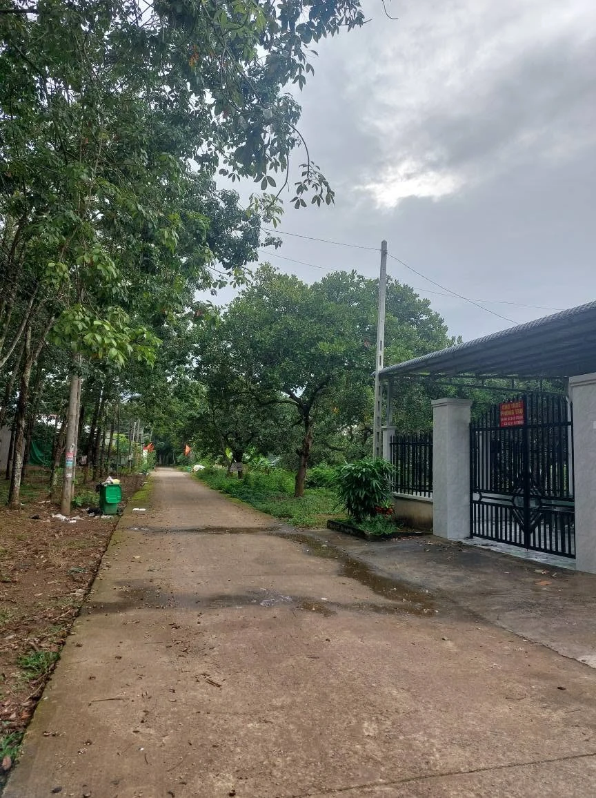 Bán đất thổ cư Tiến Thành Đồng Xoài, Bình Dương 1,2 tỷ - Ảnh thu nhỏ 2