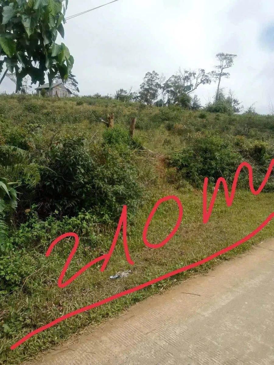Bán lô đất nông nghiệp 5.500m² tại Măng Đen, view thung lũng - Ảnh 1