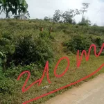 Bán lô đất nông nghiệp 5.500m² tại Măng Đen, view thung lũng - Ảnh thu nhỏ 1