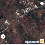 Bán nhanh 1500m² đất Cẩm Mỹ, Đồng Nai chỉ 1 tỷ - Ảnh thu nhỏ 2