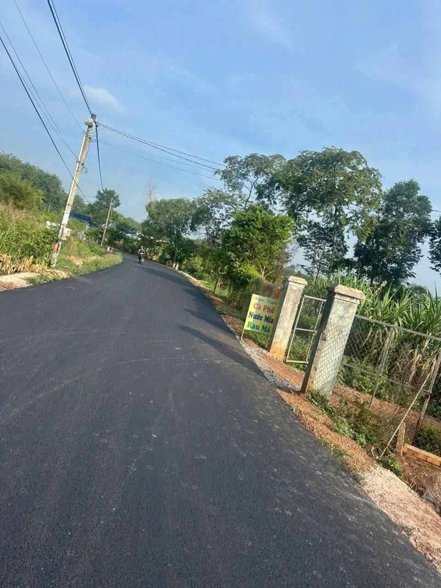 Bán đất Phường Long Nguyên Bàu Bàng Bình Dương 700 triệu - Ảnh thu nhỏ 4