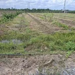 Bán 1000m đất vườn 12x84m Bình Đức, Bến Lức, Long An - Ảnh thu nhỏ 1