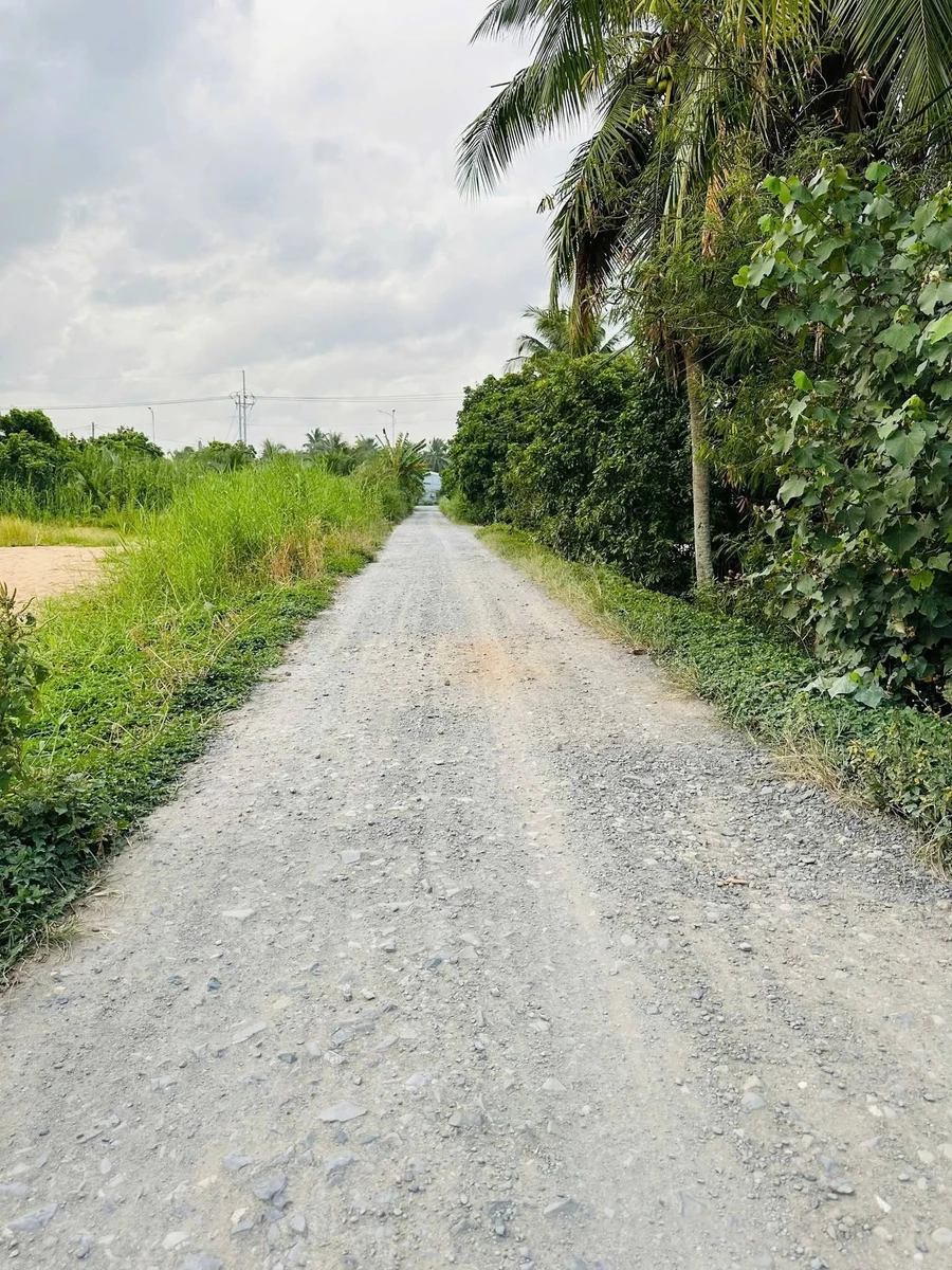 Bán đất vườn 1.650m² (600m² thổ cư) Đồng Tháp 4,2 tỷ - Ảnh 1