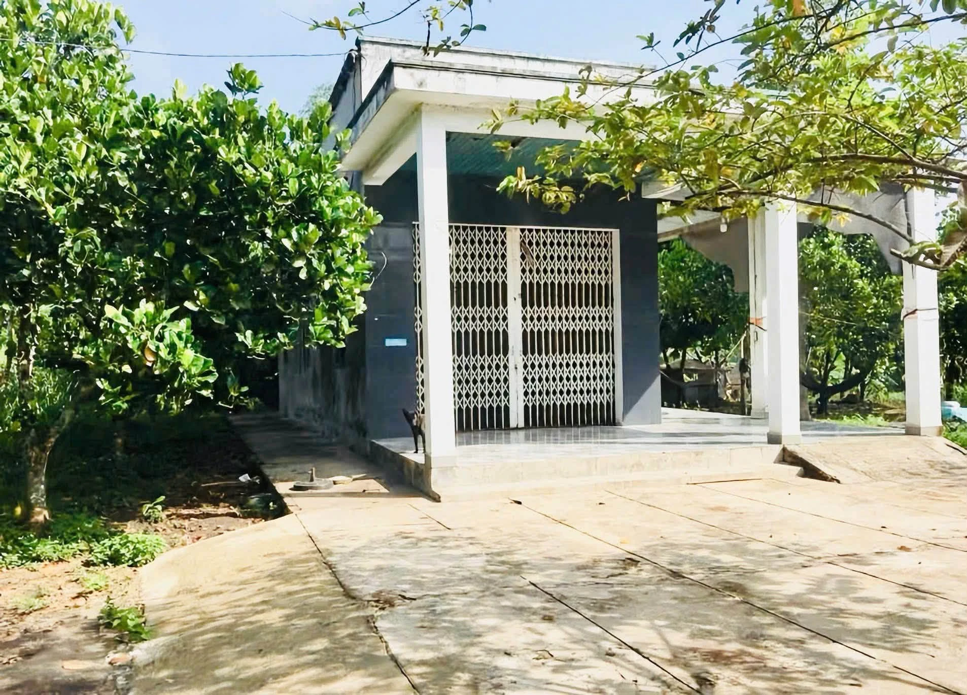 Bán đất có nhà 3.132m² Củ Chi, giá 6 tỷ - Ảnh 1