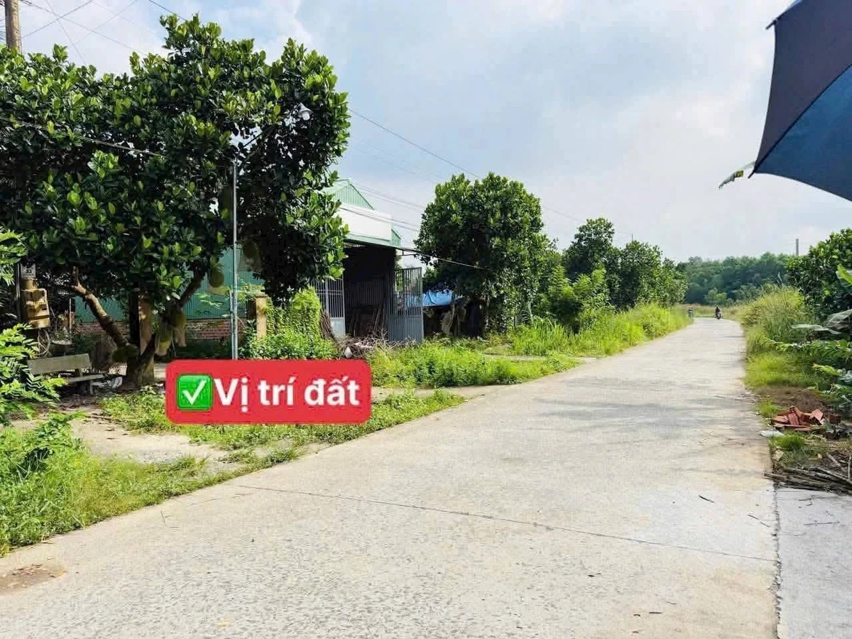 Bán đất Đường Số 15, Phường Minh Hưng, Đồng Nai 460 triệu - Ảnh 1