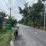 Bán đất thổ lúa mặt tiền 800m2 Long An - Ảnh thu nhỏ 2