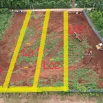 Bán 540m² đất nông nghiệp Buôn Komleo Tân Lập 480 triệu - Ảnh thu nhỏ 2