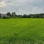 Bán đất 3.911,5m² cạnh cao tốc TP.HCM-Trung Lương, Tây Ninh - Ảnh thu nhỏ 2