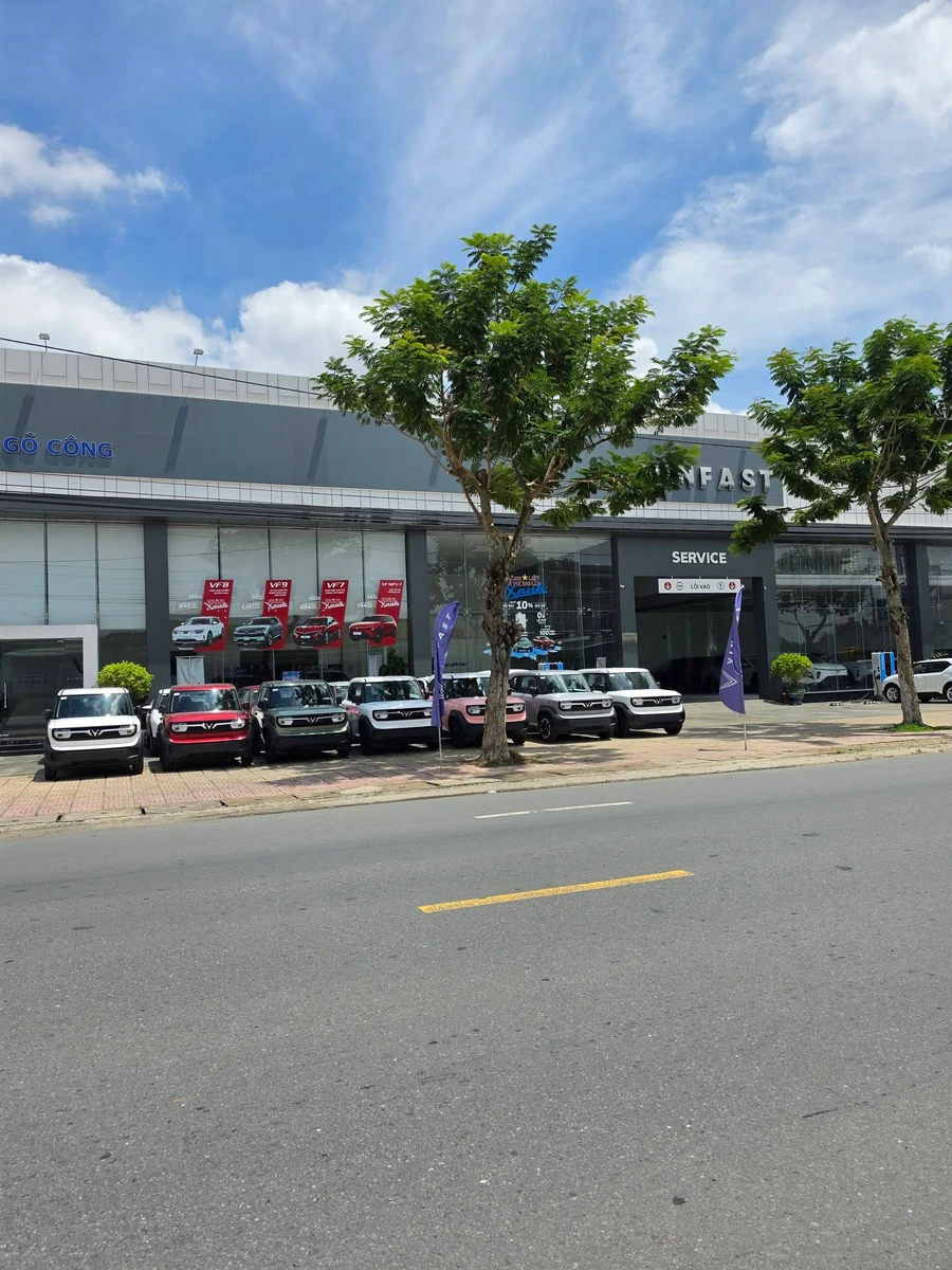 Bán đất mặt tiền Quốc lộ 50, Sơn Qui, Tiền Giang, 210m² - Ảnh thu nhỏ 3