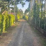 Bán đất mặt tiền 500m2 Tân An Nhà Bè - Ảnh thu nhỏ 4