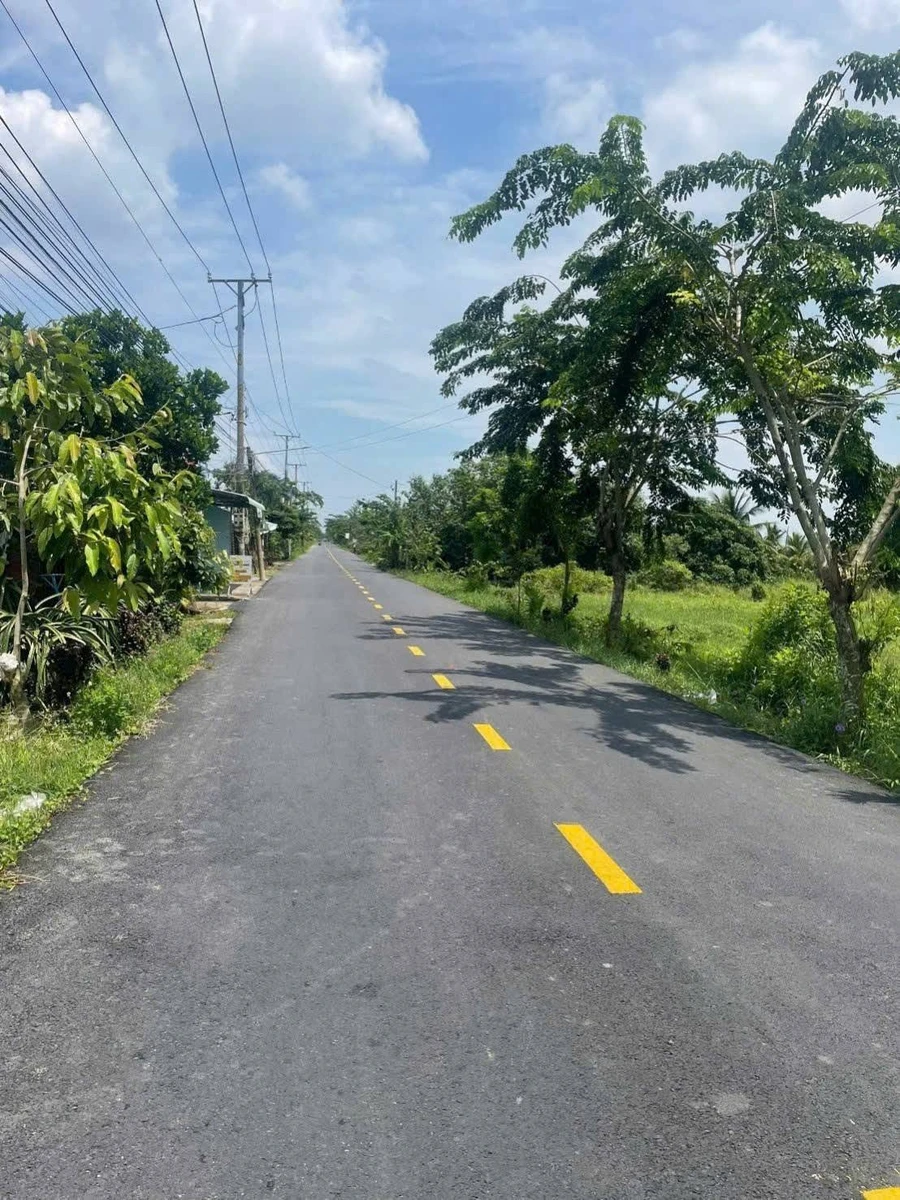 Bán 1000m2 đất lúa Châu Thành Long An 1,5 tỷ - Ảnh thu nhỏ 3
