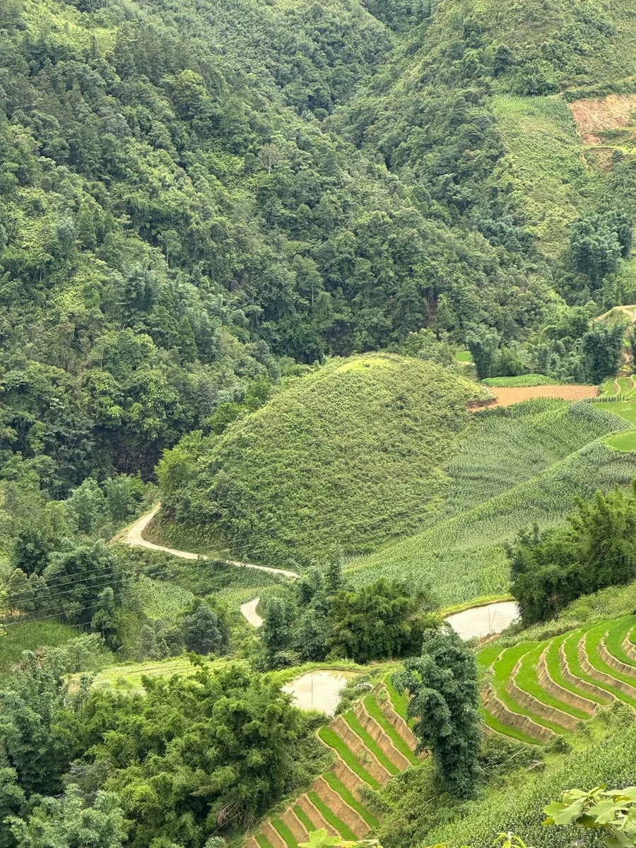 Bán đất 7.000 m² view Sa Pa, gần Cát Cát - Ảnh thu nhỏ 3