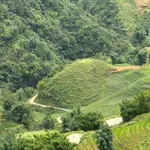 Bán đất 7.000 m² view Sa Pa, gần Cát Cát - Ảnh thu nhỏ 3