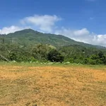 Bán lô đất 133m² view núi và TP Bảo Lộc, Lâm Đồng - Ảnh thu nhỏ 5