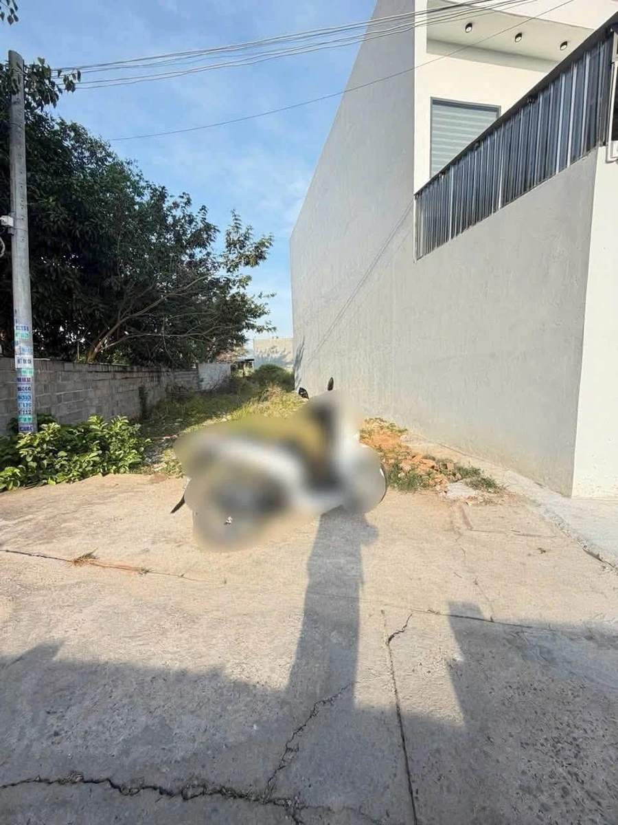Bán lô đất 130m² tại Phong Năm, Nhà Bè - 790 triệu - Ảnh thu nhỏ 3