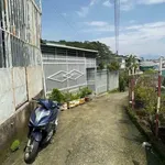 Bán nhà riêng 94m² Đồng Tâm, Đà Lạt 3.6 tỷ - Ảnh thu nhỏ 2