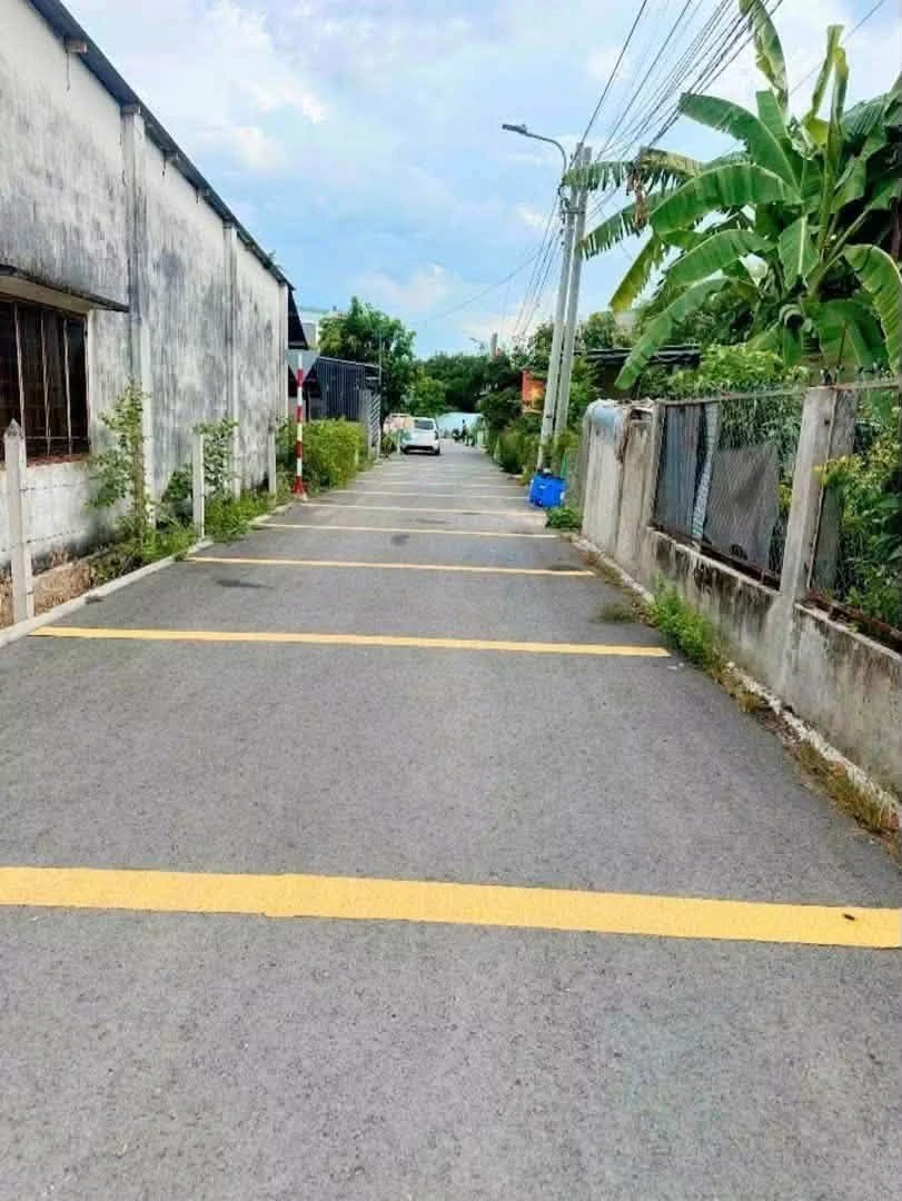 Bán lô đất vườn trái cây Phú An, Bình Dương - 2.6 tỷ - Ảnh thu nhỏ 2