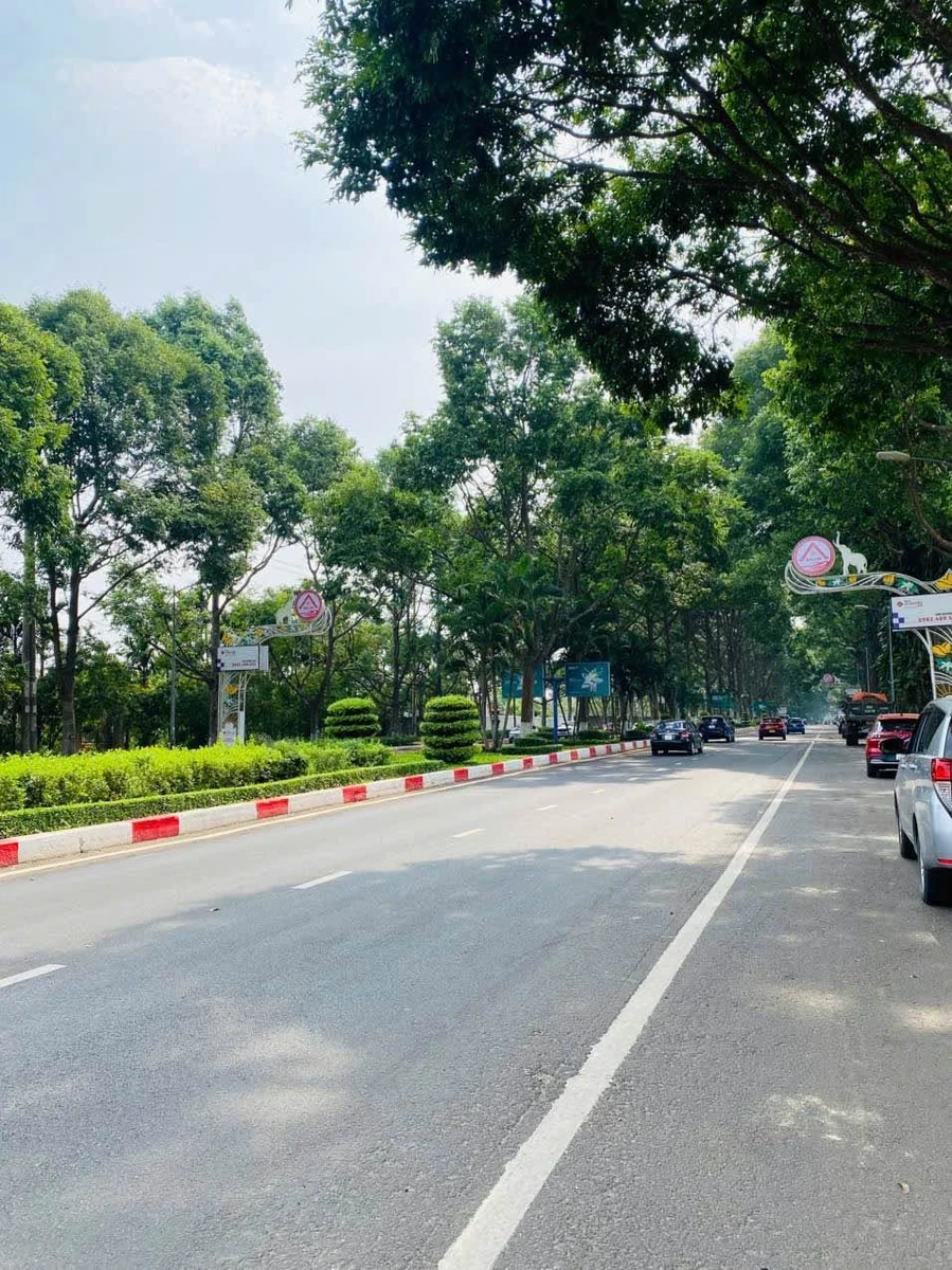 Bán đất 7x23m trục chính cổng chào Thôn 8 Hòa Thắng, Phường Tân Lập, Buôn Ma Thuột - Ảnh thu nhỏ 3