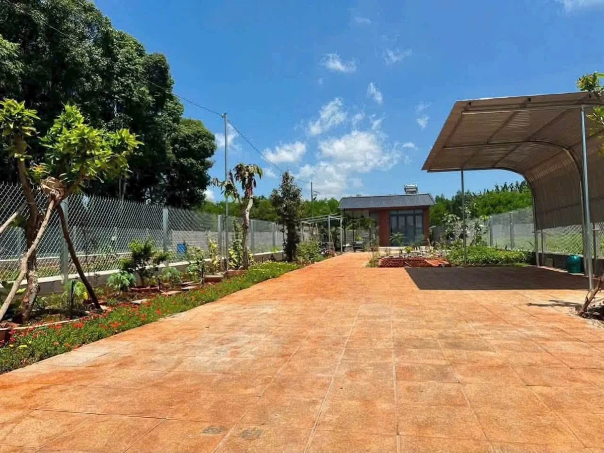 Bán đất nhà vườn 500m² mặt tiền đường nhựa 91C, Long Phước, TP. Bà Rịa, giá 1,79 tỷ - Ảnh 1