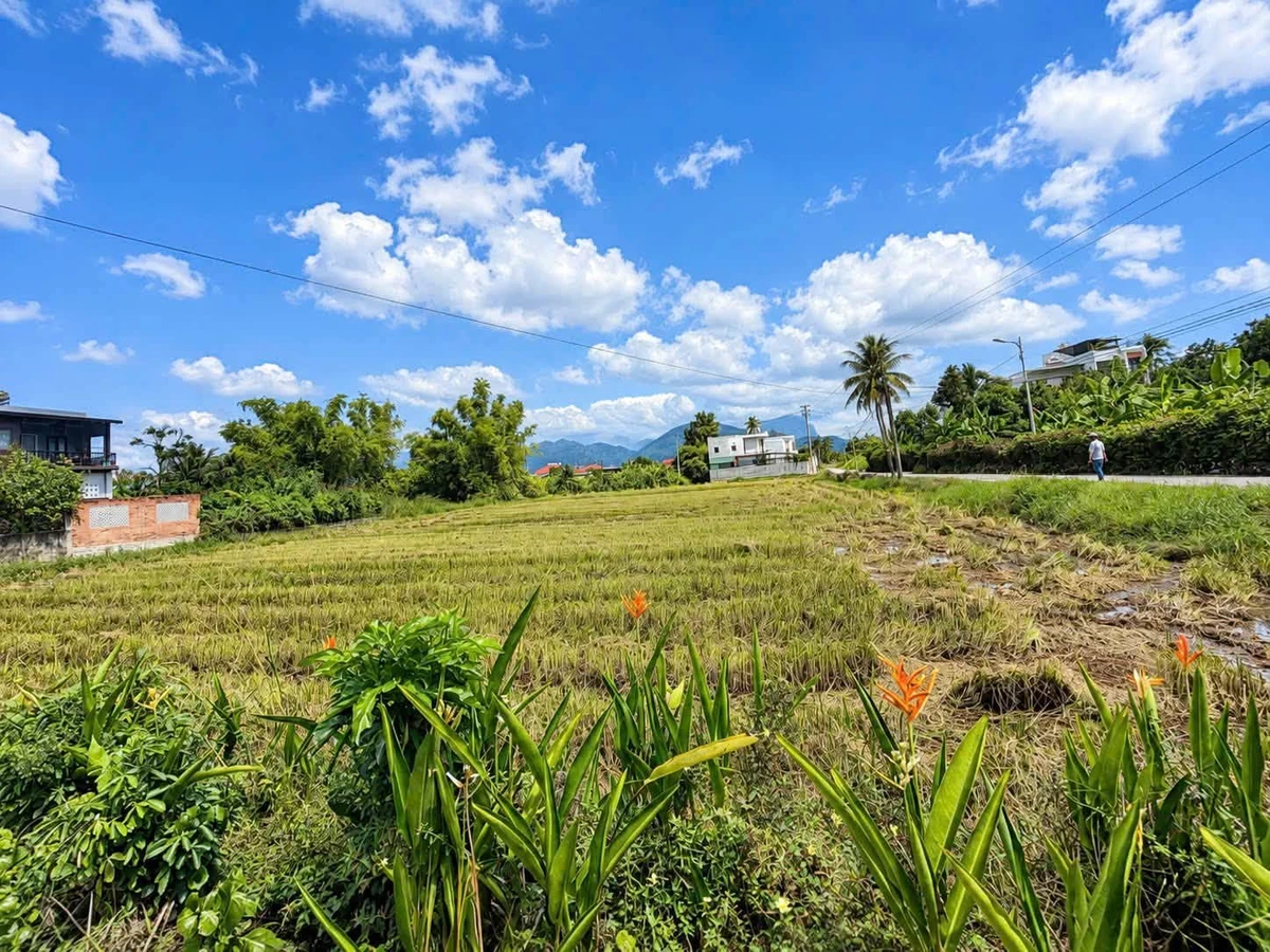 Bán đất Diên An 400m²(200m thổ cư), mặt tiền 20m, Nha Trang - Ảnh thu nhỏ 2