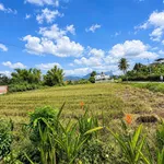 Bán đất Diên An 400m²(200m thổ cư), mặt tiền 20m, Nha Trang - Ảnh thu nhỏ 2