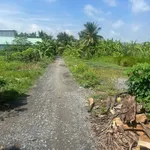Bán gấp đất thổ cư 6,5x24m Phước Vân, Cần Đước, Long An giá 700 triệu/lô - Ảnh thu nhỏ 3