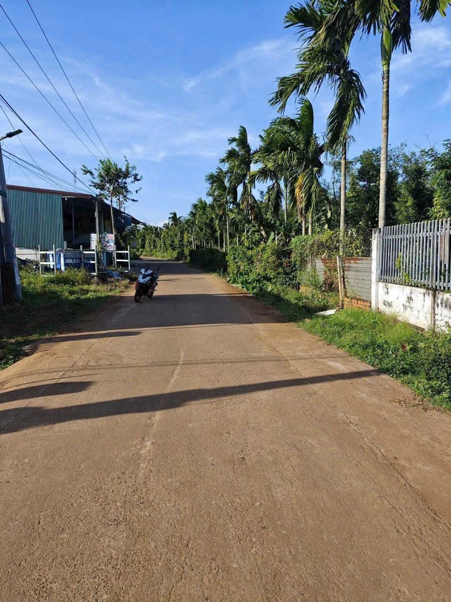 Bán đất mặt tiền đường 19/5 nối dài thôn 86, Ea Kao, 60m² thổ cư giá 599 triệu - Ảnh thu nhỏ 4
