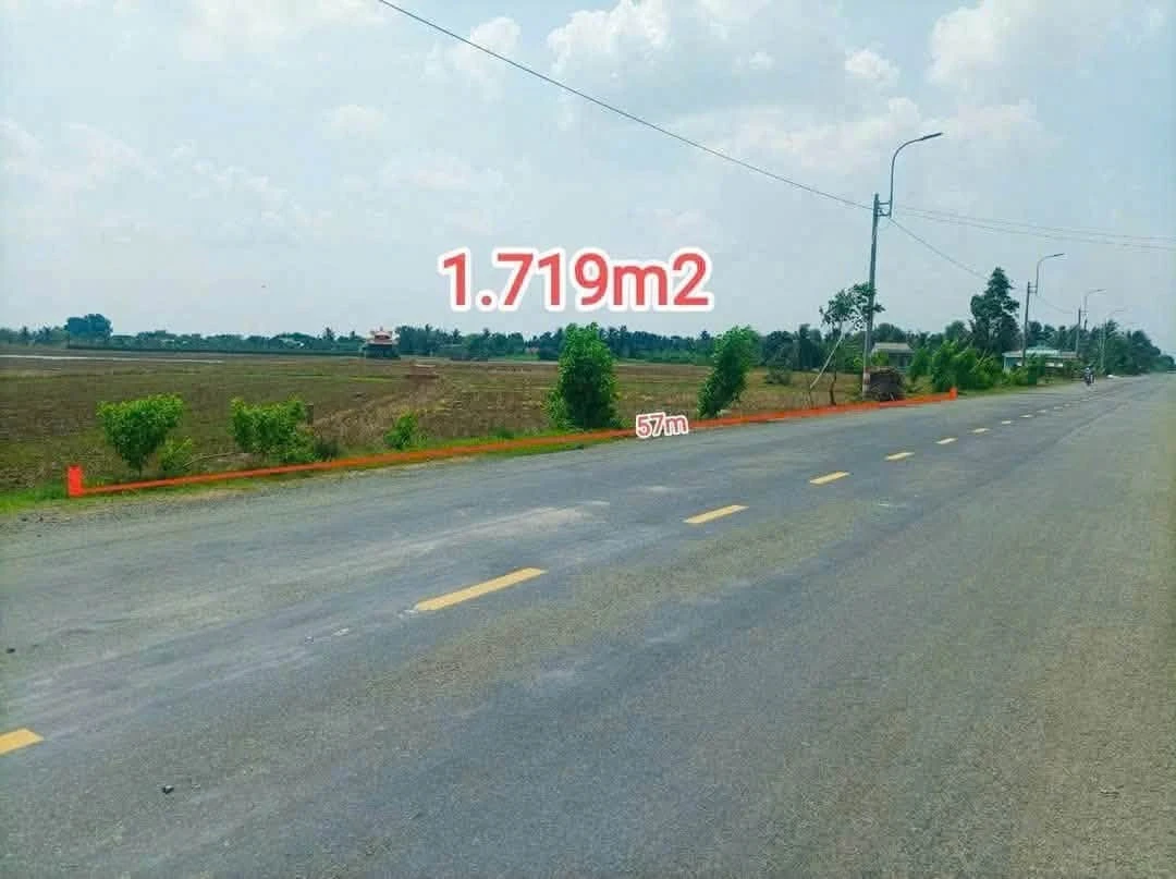 Bán đất nông nghiệp 1719m² mặt tiền 832 Tân Trụ - Ảnh 1