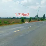 Bán đất nông nghiệp 1719m² mặt tiền 832 Tân Trụ - Ảnh thu nhỏ 1